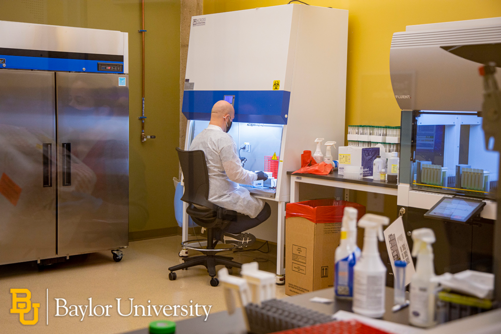 Photo Baylor MLD Lab staff processing tests