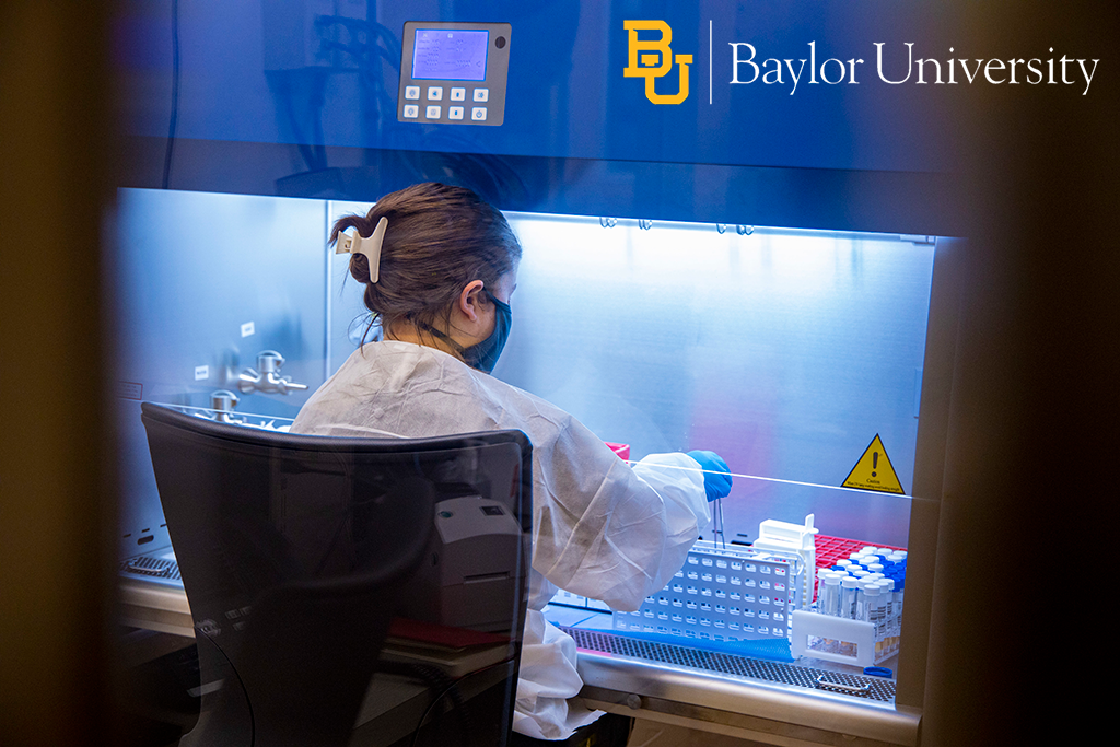 Photo Baylor MLD Lab staff processing tests